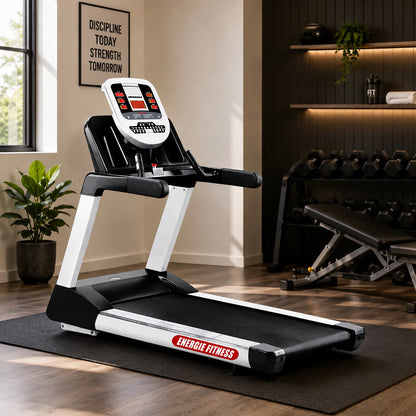 Best Imported Commercial Treadmill ECT-102