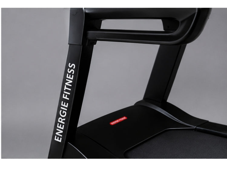 Best Gym Heavy Duty Commercial Treadmill in India ECT-106
