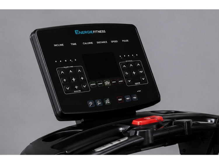 Best Price Heavy Duty Commercial Treadmill in India ECT-106
