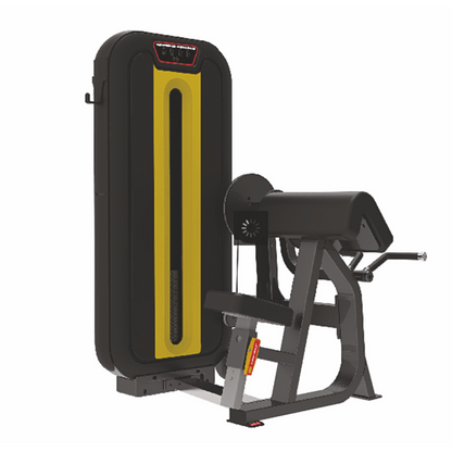 Imported Biceps/ Triceps Machine at Best Price- LD-840
