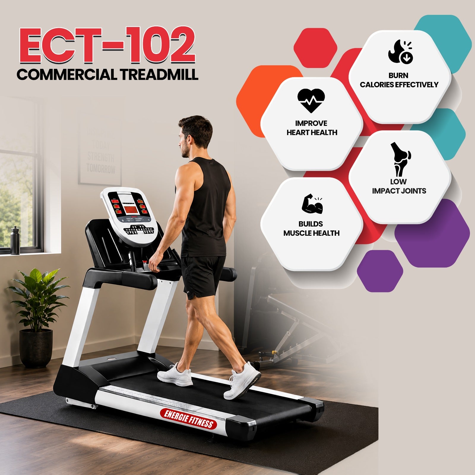 Commercial Treadmill ECT-102