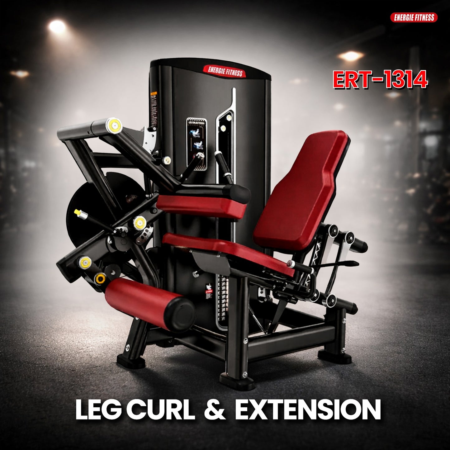 Commercial Leg Curl And Extension Machine ERT-1314
