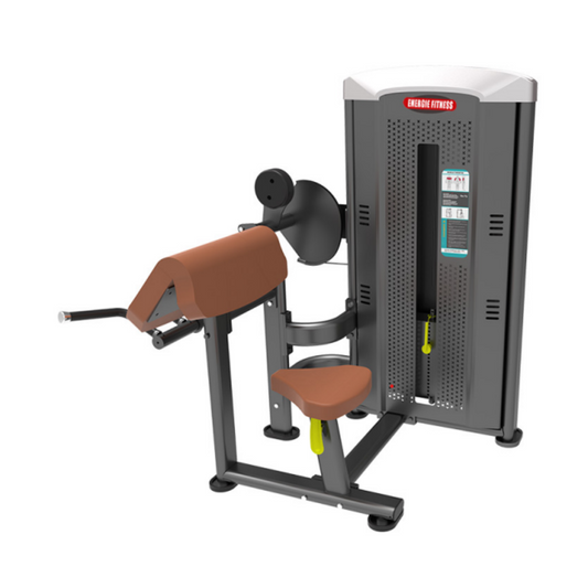 Premium Arm Curl Machine-EMT-006