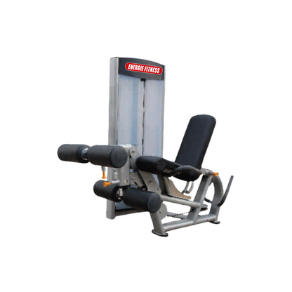 Prone Leg Curl/Leg Extension Machine ES-012