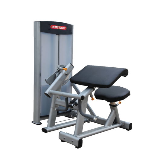 Biceps/Triceps Exercise Machine ES-016