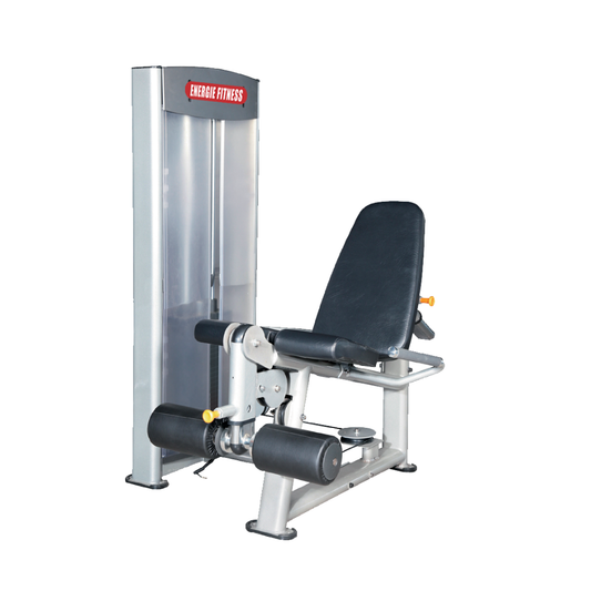 India's Best Leg Extension Machine- ES-046