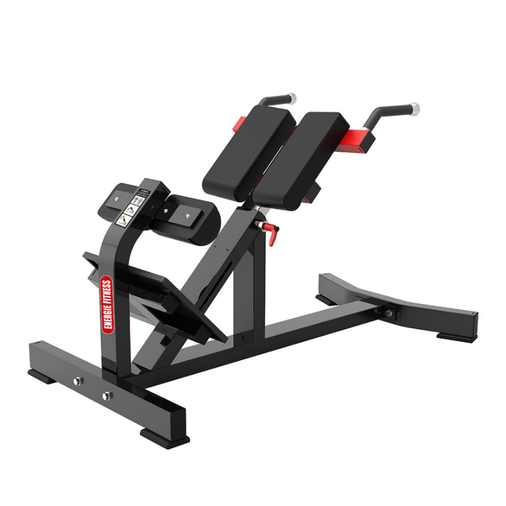 Back Extensor Strengthening Machine Products – EnergieFitness