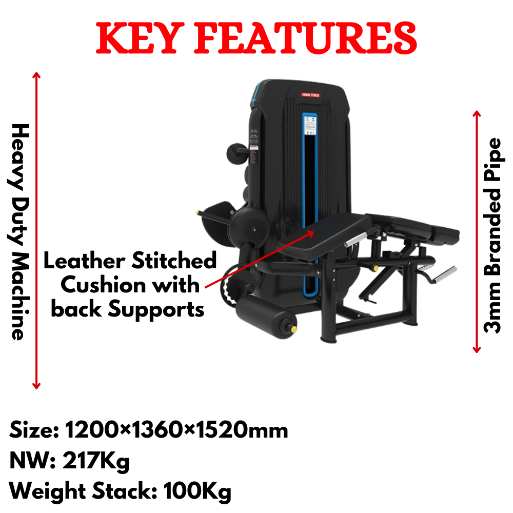 Best Combo Leg Curl Machine - ETS-1313A