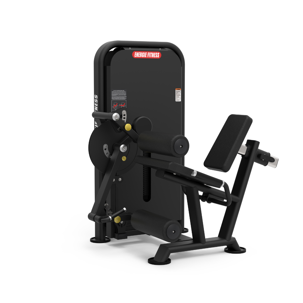 Latest Leg Curl and Extension Machine EXT-1314