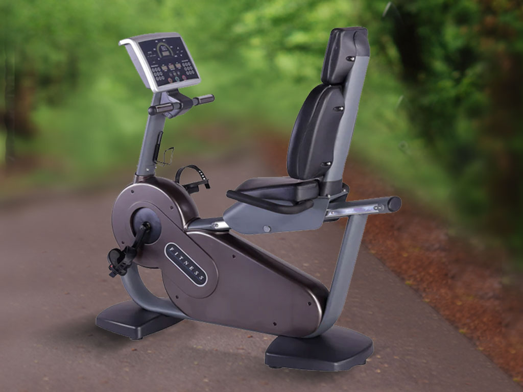 Best Recumbent Bike in India FT 6806R EnergieFitness