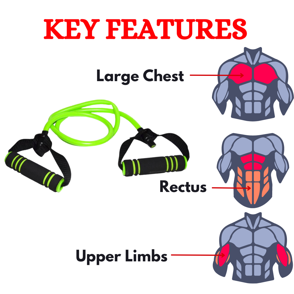 Chest Expander Spring at Best Price in India