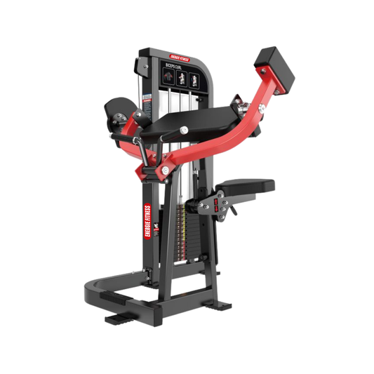 India's Best Bicep Curl Machine HB-006