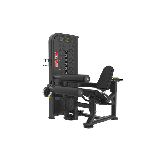 Best Leg Extension And Curl Machine HM-1314