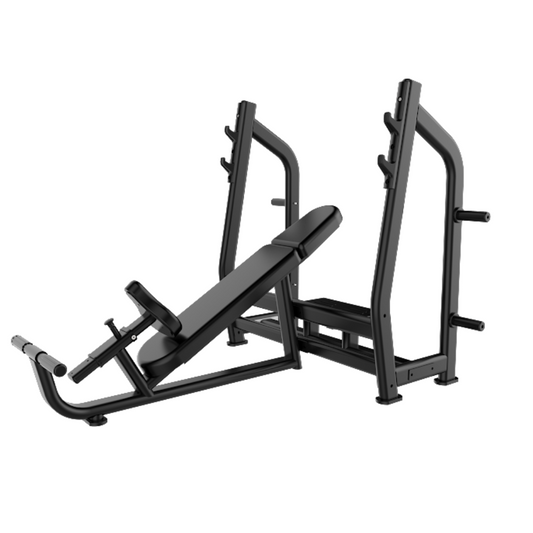 Best Incline Bench (Luxury) in india-J-025