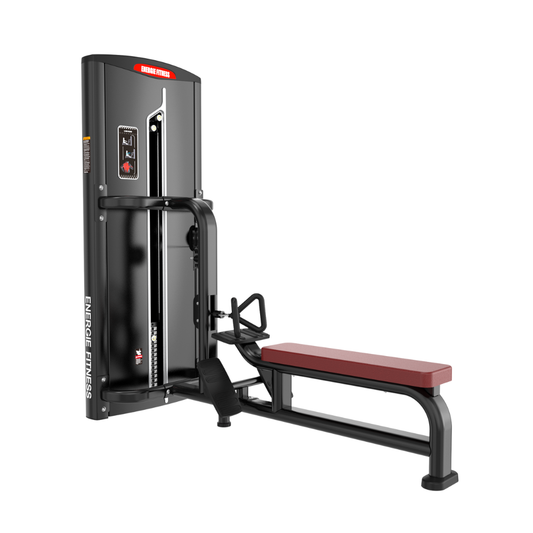 India's Best Low Row Machine ERT-012A