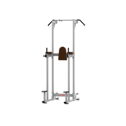 Best Vertical Knee Raise  Machine-J-027