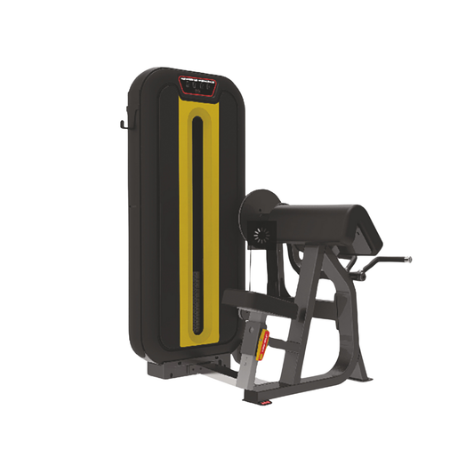 Imported Biceps and Triceps Exercise Machine - LD-840