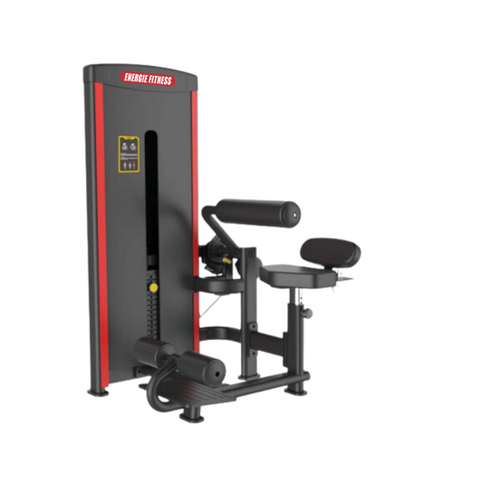 Best Lower Back & Abdominal Machine in India LY-0910