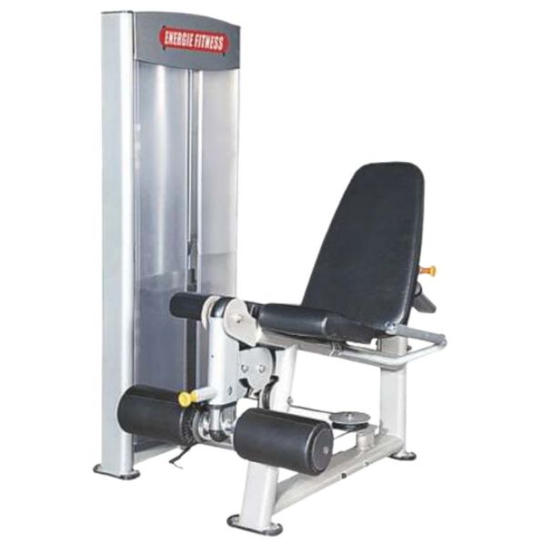 Leg Extension ES-046