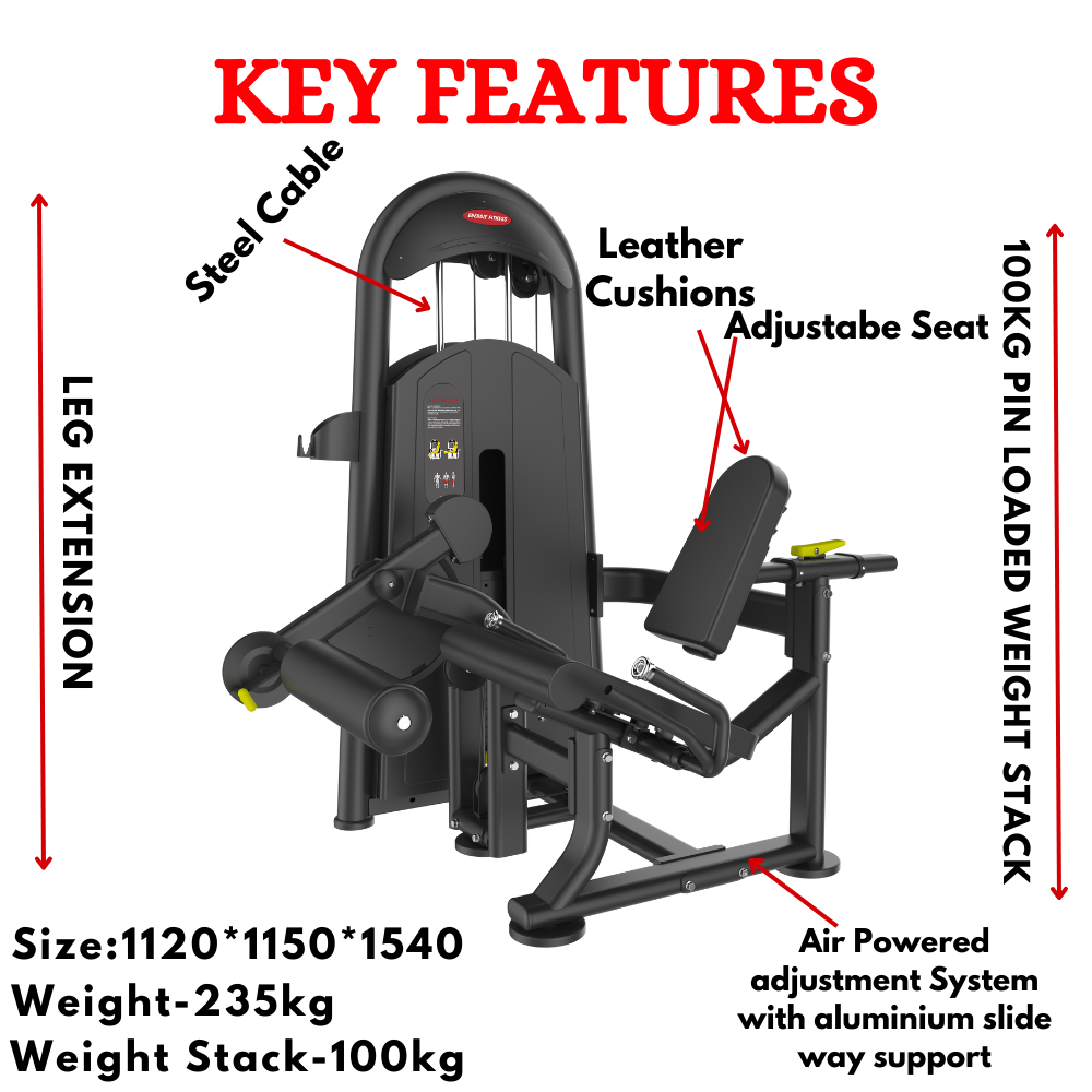 Best Leg Extension Machine BK-014
