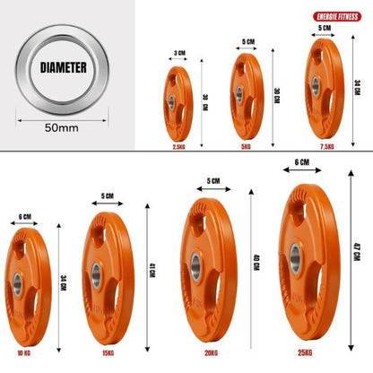 High Quality Multi Color Gym Plates