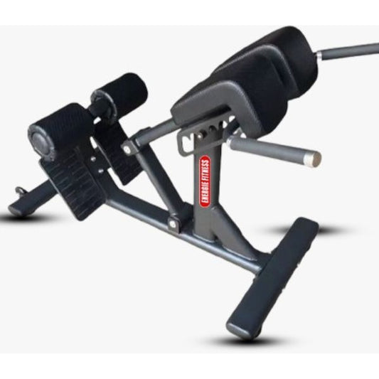 Best Roman Chair Back Extension Machine - B-26