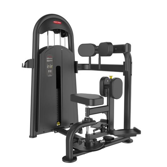 Rotary Torso Gym Machine BK-011