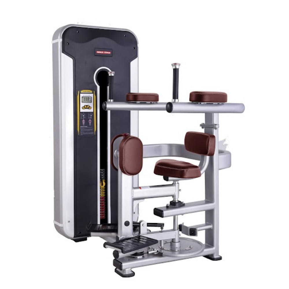 Best Rotary Torso Machine in India TNT-011 – EnergieFitness