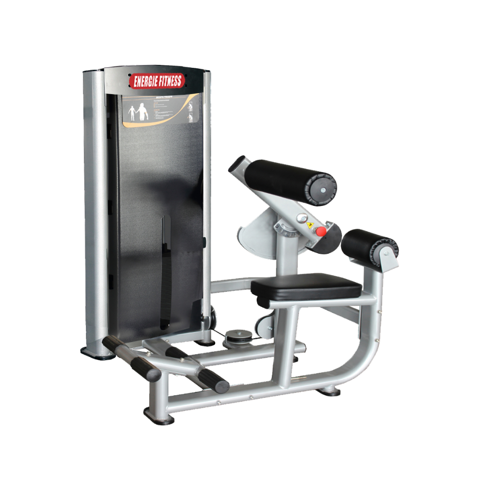 Premium Seated Abdominal/ Lower Back Extension Machine ES-057 ...