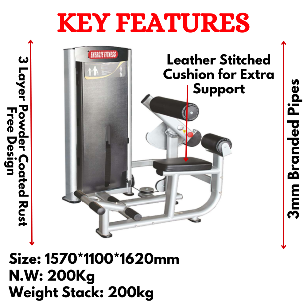 Premium Seated Abdominal/ Lower Back Extension Machine- ES-057