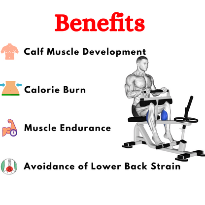 Best Seated Calf Machine- ETM-23