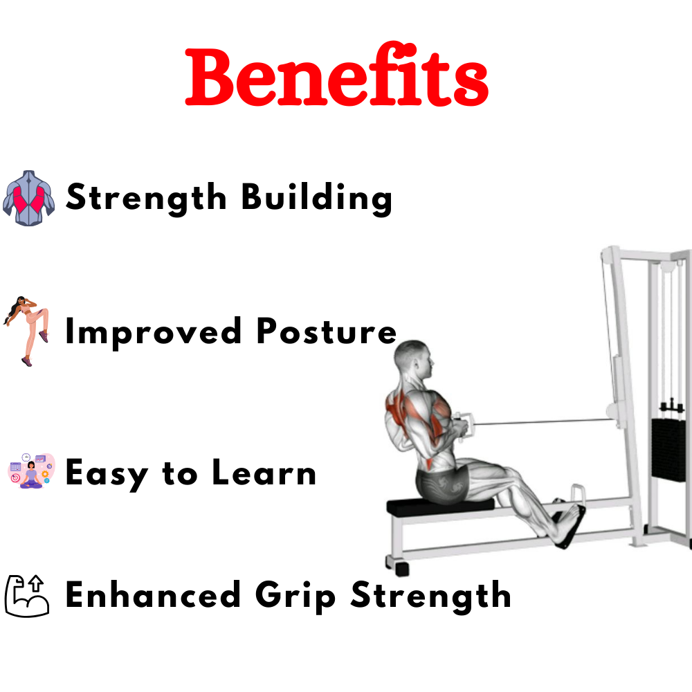 Best Seated Horizontal Pully Machine in India - TNT-012A