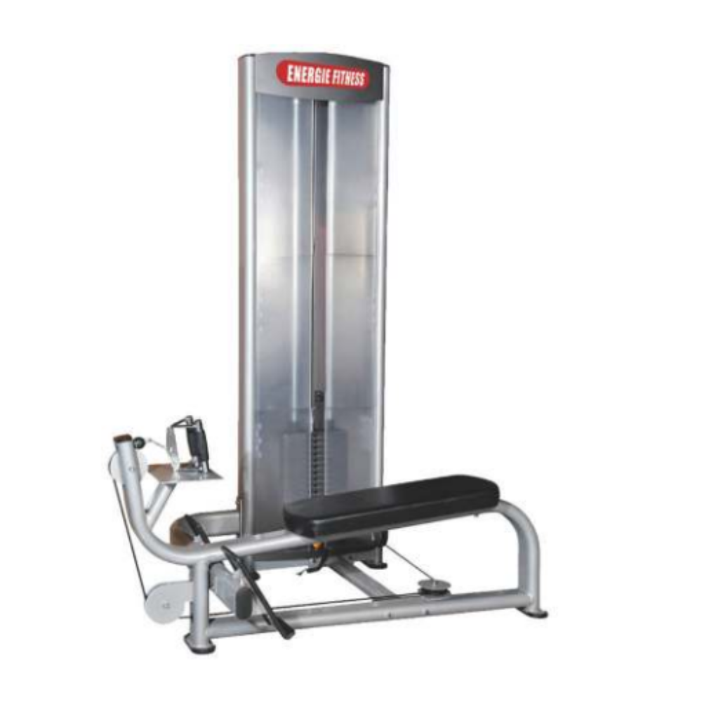 Seated Horizontal Pully Machine Price in India- ES-036