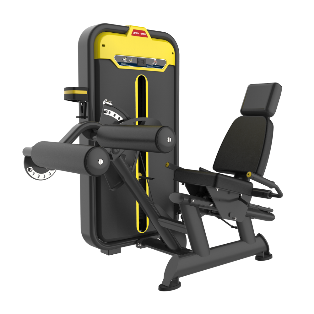 Seated leg curl machine at Price in india- BMW-013