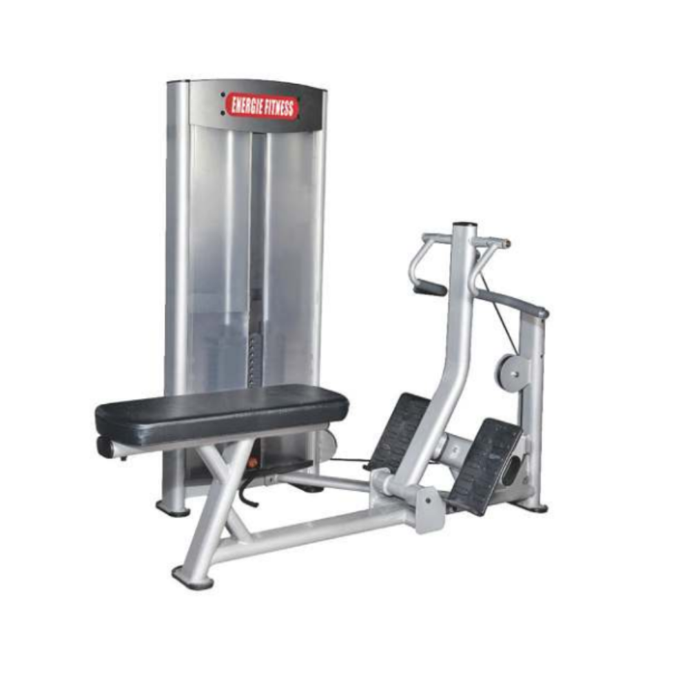 Seated Row Machine at Best Price in India- ES-041