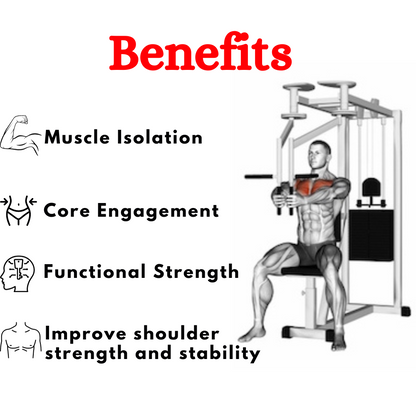 Pec Fly and Rear Delt Machine For Sale ESB-02A