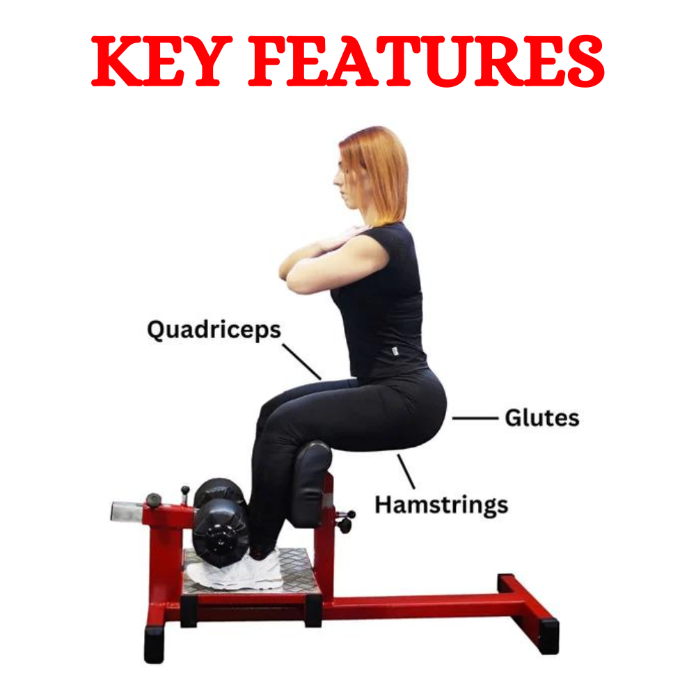 Sissy Squat Exercise Machine EnergieFitness