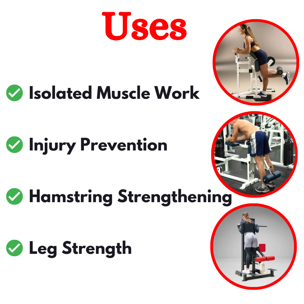 Seated Leg Curl and Extension EDT-1314