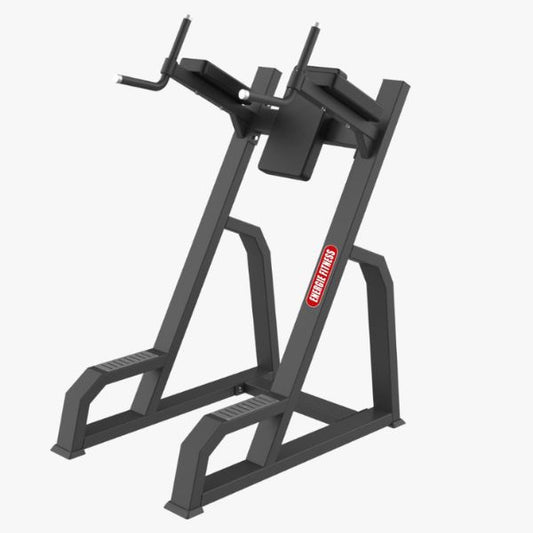 Best Vertical Knee Raise Machine - A-027