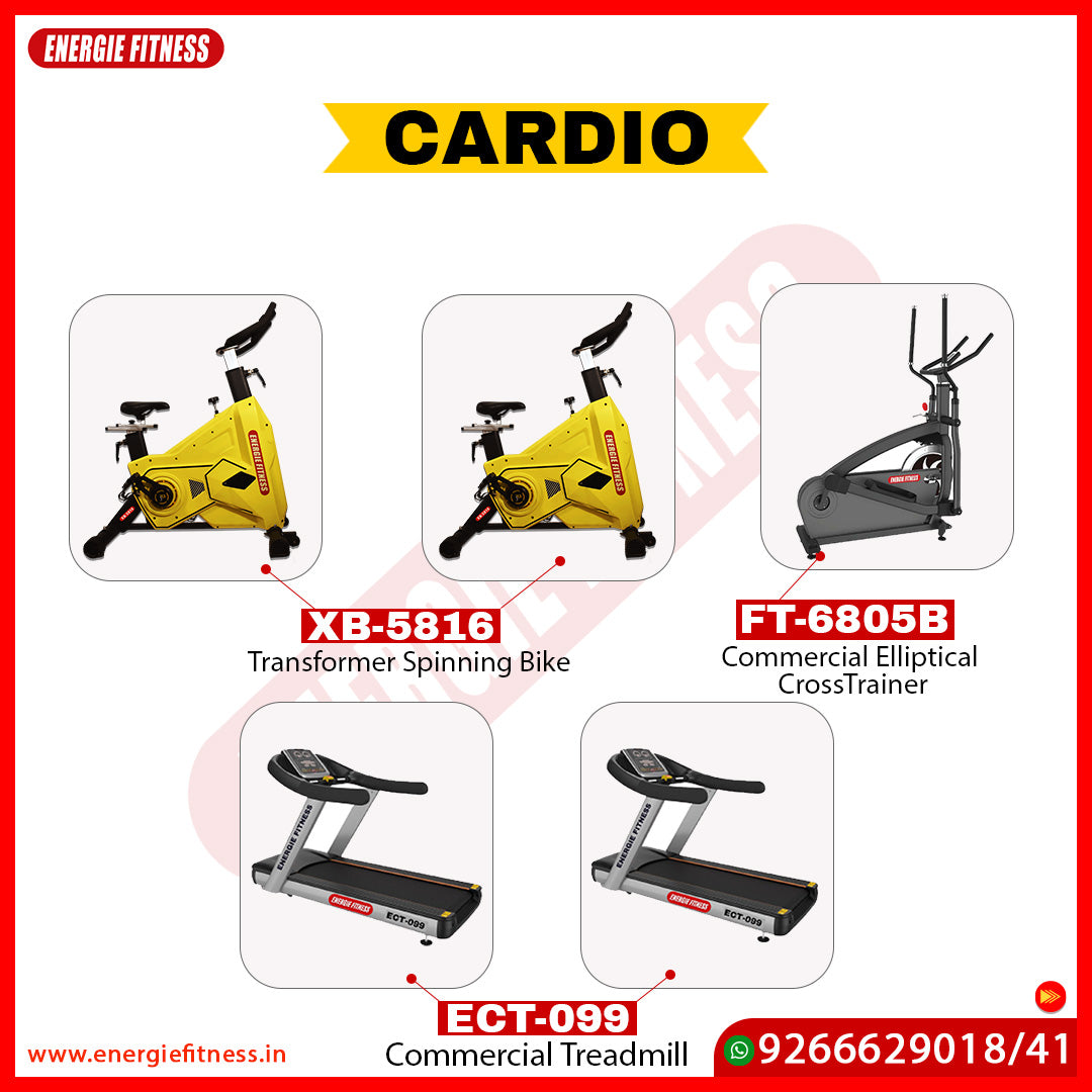 Full Gym Setup Affordable Price